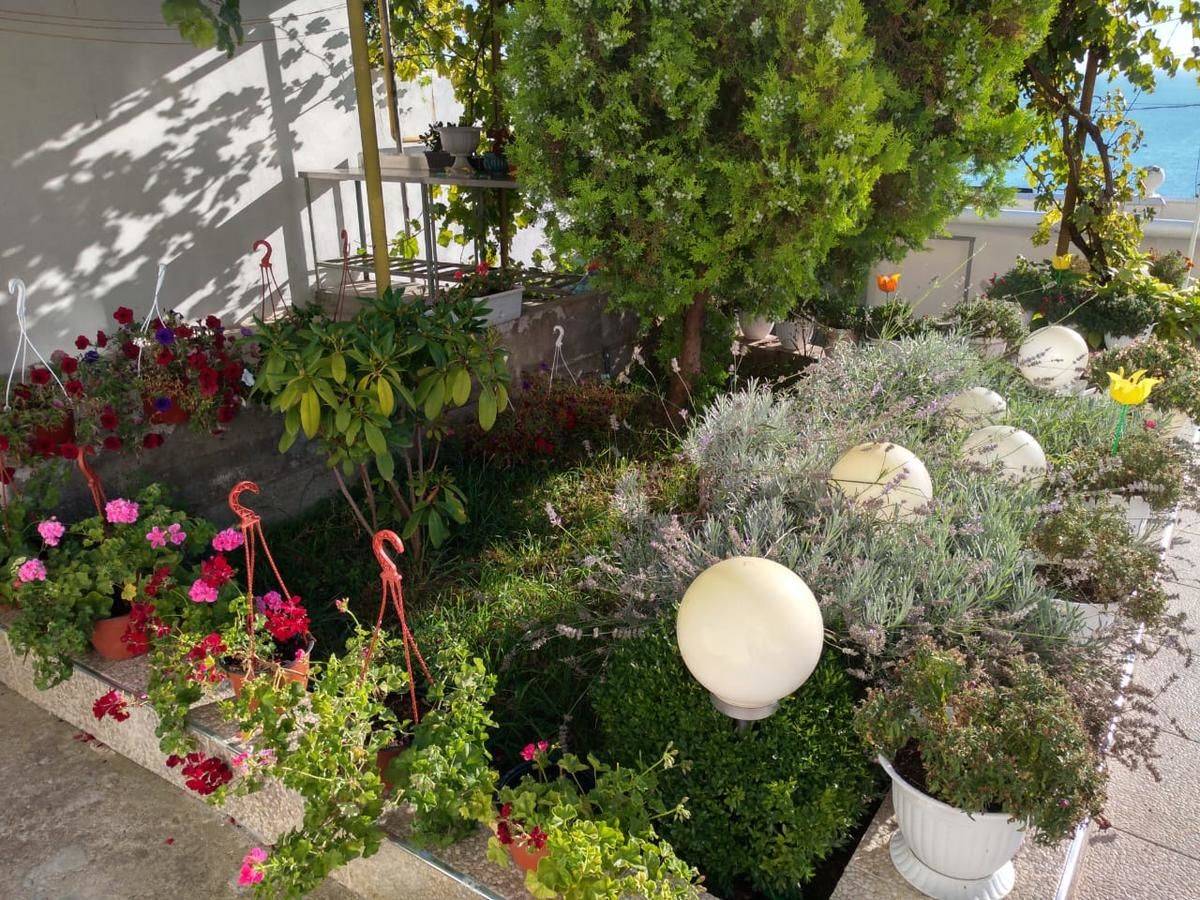 Фото Гостевого дома Мини-Отель Сандра Лазаревское 14