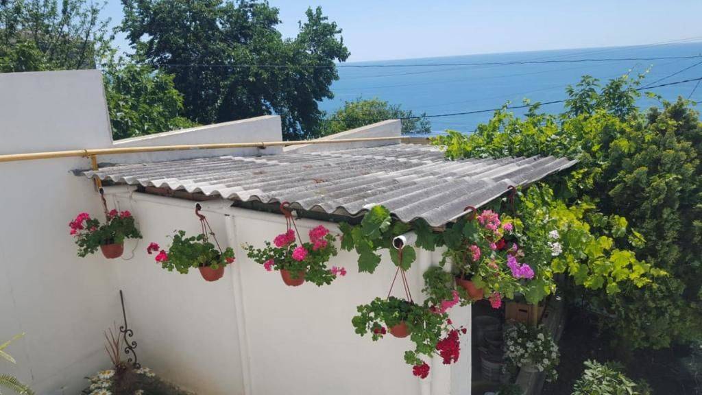 Фото Гостевого дома Мини-Отель Сандра Лазаревское 52